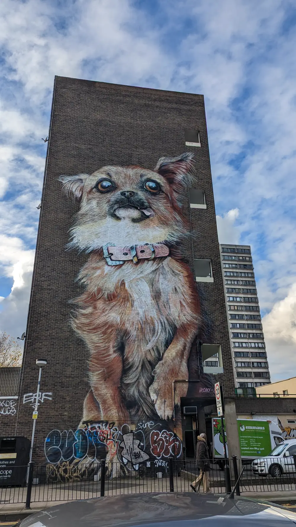 A mural of a dog painted across the whole end wall of a tall brick building